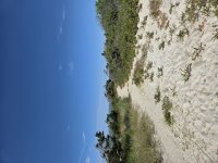 skaket trail 3 (Custom).jpg
