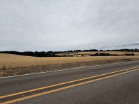 IMG_1158.jpeg