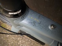 IMG_8368.jpeg