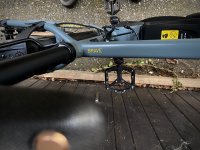 IMG_8365.jpeg