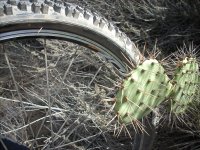 Puncture.jpg