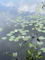 IMG_1879 (1).jpeg