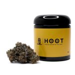 DiamondKush-Hoot-07-2286949383.jpg