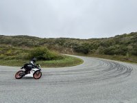 IMG_3035 Large.jpeg