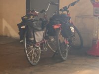IMG_4048small.jpg