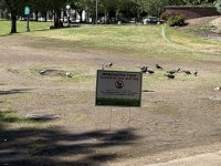 IMG_1235.jpeg