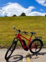 Bosch Rohloff E-14.jpg