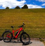 Bosch Rohloff E-14 - image 2.jpg