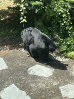 IMG_1889.jpeg