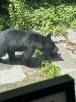 IMG_1890.jpeg