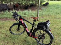 IMG_0331.jpeg