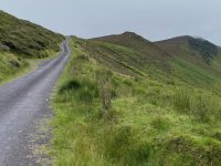 IMG_0817.jpeg