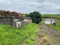 IMG_0724.jpeg