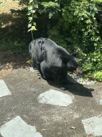 IMG_1889.jpeg