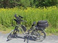 IMG_006950a.jpg