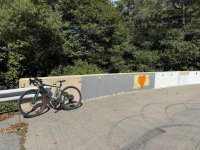 IMG_3813 Large.jpeg