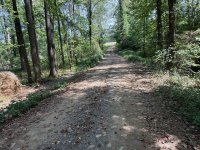 IMG_0397.jpeg