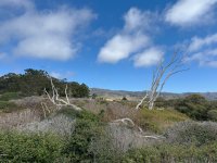 IMG_3964 2.jpg