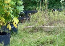 IMG_0416.jpeg