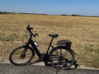 IMG_2376.jpeg
