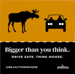moose.png