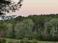 IMG_0483.jpeg