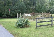 IMG_0502.jpeg