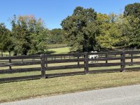 IMG_0543.jpeg