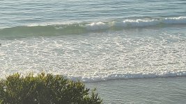 20251017_171225(0).jpg