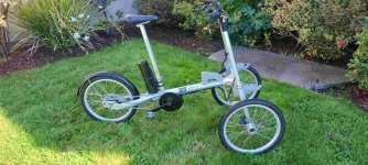 cargo trike.jpg