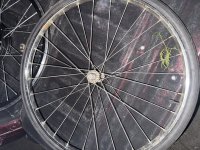 IMG_1305-compressed.jpeg
