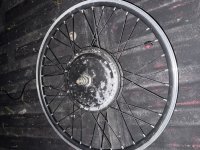 IMG_1304-compressed.jpeg