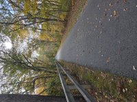 20251024_152446 (Custom).jpg