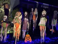 IMG_5048 2 Large.jpeg