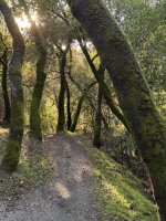 IMG_5284 2 Large.jpeg