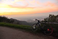 IMG_0724 Treated small.JPG