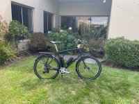 Black Prospero Patrice.jpg