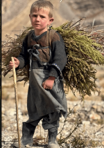 Screenshot 2025-12-21 at 14.03.59 (1).png