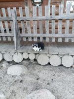 photo_2025-12-25 10.47.28.jpeg