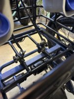 IMG_2406 Medium.jpeg