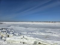 grays 2 (Custom).jpg