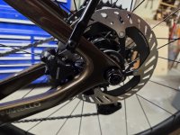 rear brake (Custom).jpg