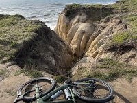 IMG_7284 copy Large.jpeg