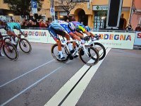 sardena (Custom).jpg