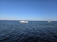 chatham4 (Custom).jpg