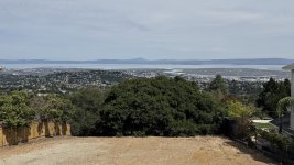 IMG_7967 copy Large.jpeg