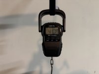 IMG_8413 2 Large.jpeg