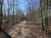 20260412_093728_resized (Custom).jpg