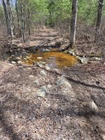 20260412_114404_resized (Custom).jpg