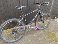 IMG_2496.jpeg